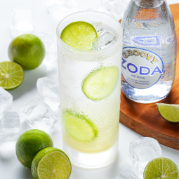 Fresh Lemon Soda